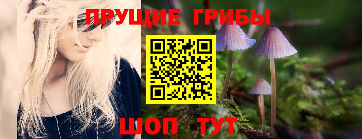 Галлюциногенные грибы MAGIC MUSHROOMS  Псилоцибиновые грибы GOLDEN TEACHER  Кстово  Вход с VPN 